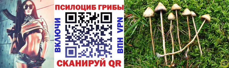 Галлюциногенные грибы прущие грибы Тетюши